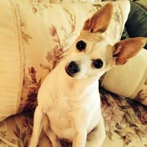 Meet your Posher, Wendi